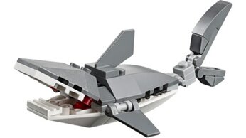 Shark