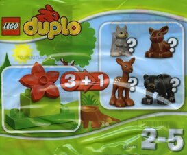 Forest - Rabbit